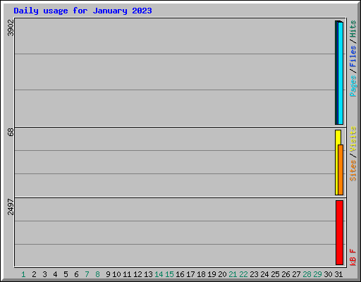 Daily usage for January 2023